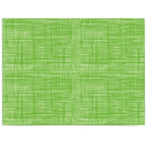2500 tovagliette 30x40 verde fantasia GraffI sottopiatto carta monouso  ristorante
